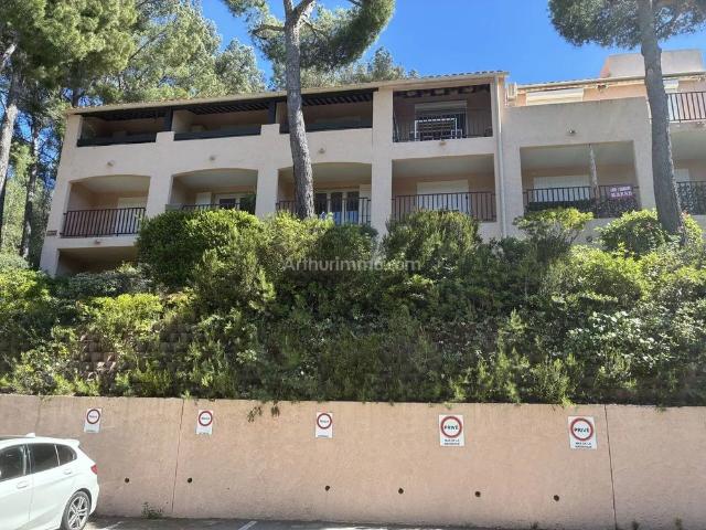 Location Studio 1 pièces 20 m2 à Saint Cyr sur Mer