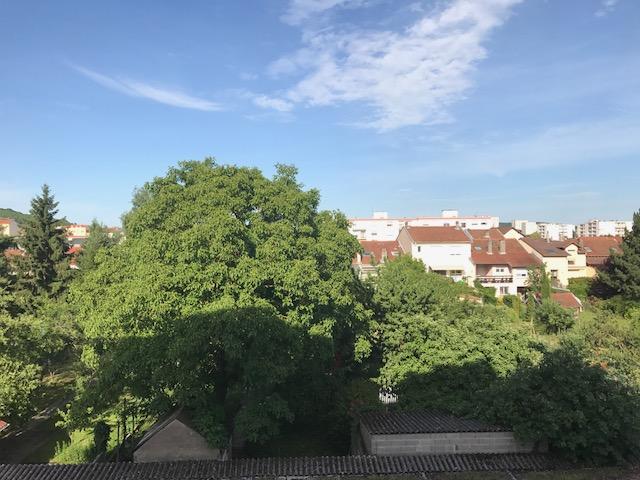 location studio 31 m² saint max 54130