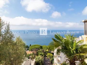 LOCATION STUDIO VUE MER NICE MONT BORON