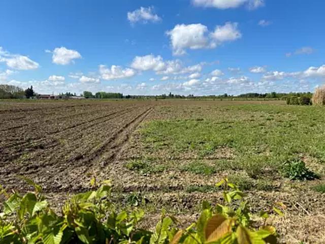 Locon 62400 Programme neuf maison neuf à vendre 7 pièces