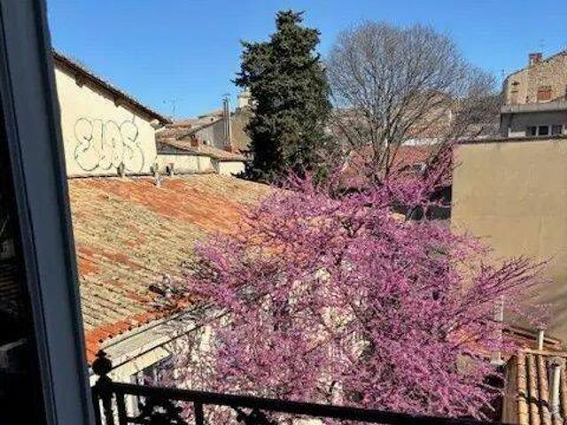 Loft meublé d exception 83m2 vue exceptionnelle sans vis a vis climatisation dans immeuble de caractère du centre historique de Montpellier