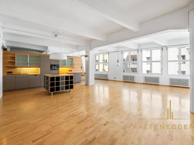 LOFT MIT CHARAKTER – 170m² Atelierwohnung mit 40m² Terrasse, 42m² Keller/Werkstatt, Kamin & eigenem Lift