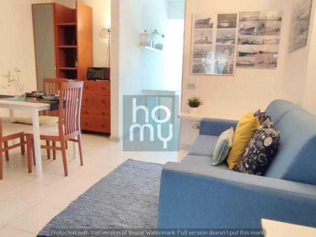 Loft / Open Space in affitto a Ameglia SP