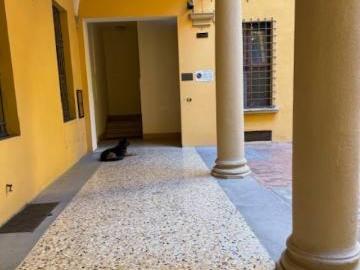 Loft / Open Space in affitto a Bologna BO