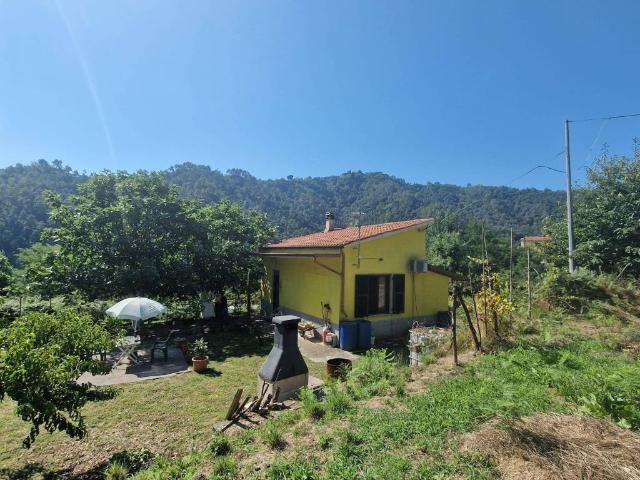 Loft / Open Space in vendita a Follo SP