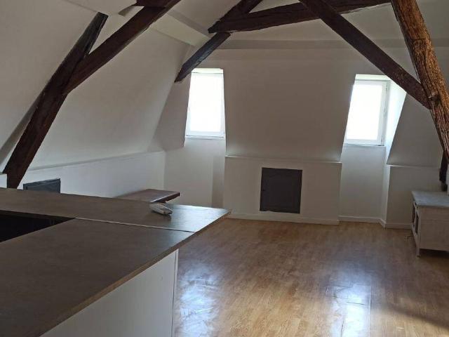 Loft atypique 50m², T2 – CLIM A+ CENTRE VILLE HALLE