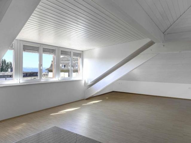 Loft à Neuchâtel, avec jardin commun et coin potager