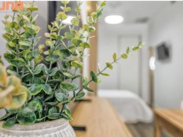 Loft Alquiler Córdoba Capital, Fátima Levante
