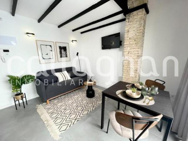 Loft Alquiler València Capital, Montolivet