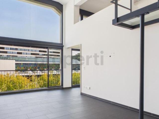 Loft Ambiente, lichtdurchflutete Räume und Renovierung 2022