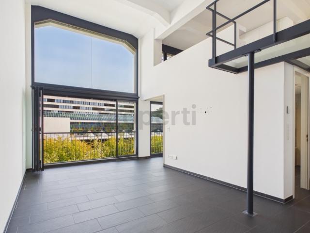 Loft Ambiente, lichtdurchflutete Räume und Renovierung 2022