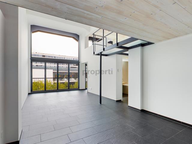 Loft Ambiente, lichtdurchflutete Räume und Renovierung 2022