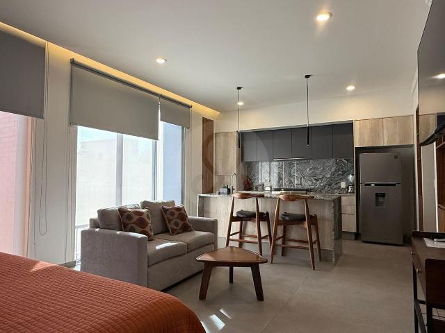 Loft amueblado de 1 Rec?mara en BRASILIA10