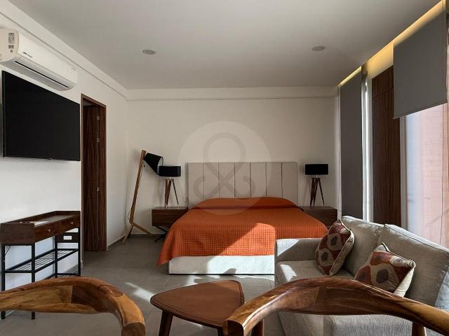 Loft amueblado de 1 Rec?mara en BRASILIA10