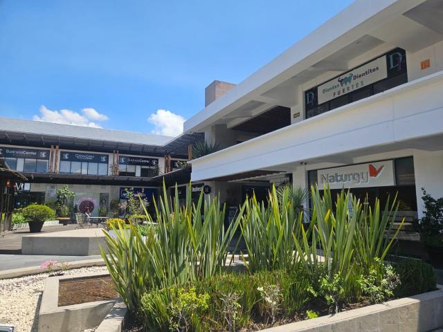 LOFT AMUEBLADO EN PLAZA DEL PARQUE, METEPEC