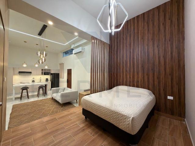 Loft Amueblado en Renta