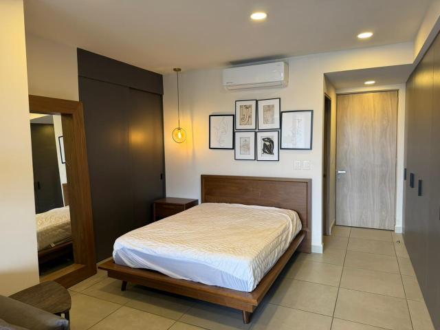 LOFT AMUEBLADO EN RENTA EN BINEN LE?N GTO DEPARTAMENTO EN RENTA EN VILLAS DEL JUNCAL A SOLO UN MINUTO DEL GAUCHO TRADICIONAL PALMAS