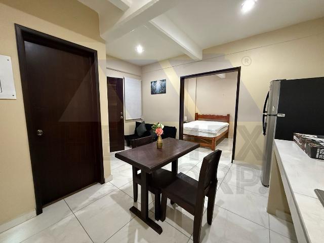 Loft Amueblado en Renta en Fraccionamiento Brisas del Carrizal