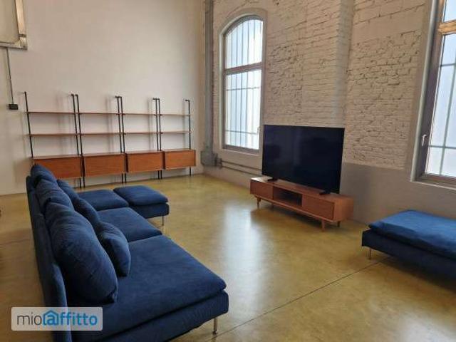 Loft arredato Centro