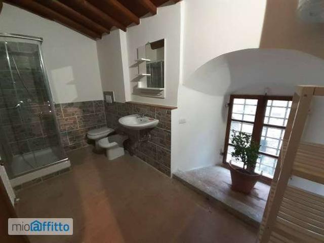 Loft arredato San Casciano In Val Di Pesa
