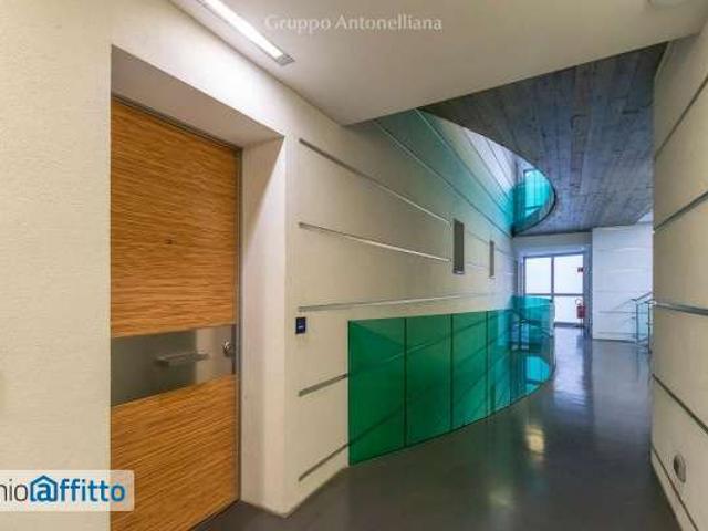 Loft arredato San salvario
