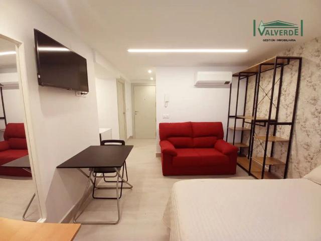 Loft con ascensor en alquiler en Calle Pavaneras