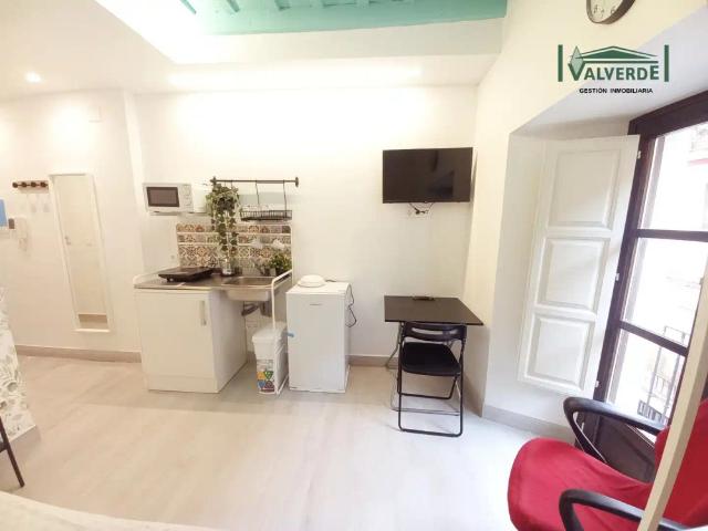 Loft con balcón en alquiler en Calle Pavaneras