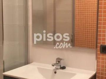 Vigo, Pontevedra, Pontevedra, Galicia, Galicia