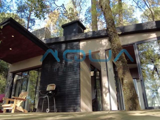 LOFT EN EL BOSQUE
