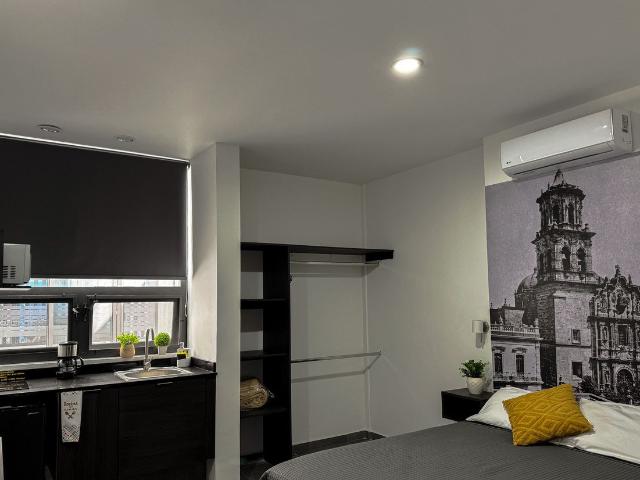 Loft en renta amueblado Zona Centro, Santuario