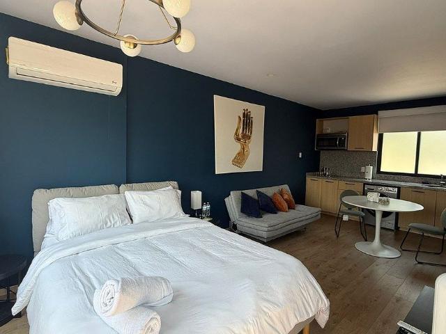 Loft en Renta en Roma Norte