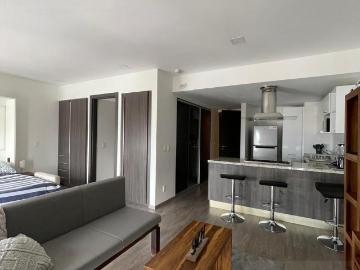 LOFT EN RENTA TOLUCA