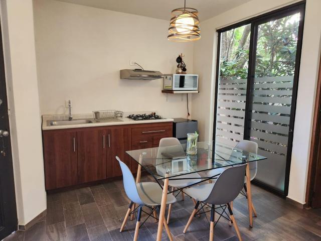 LOFT EN RENTA ZONA CENTRO GUANAJUATO GTO