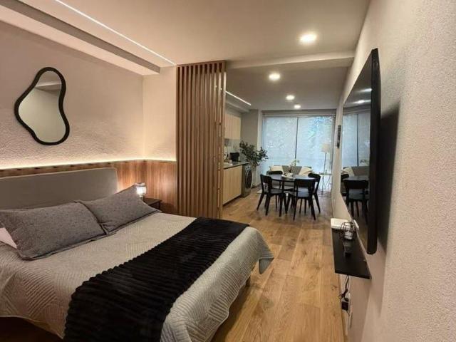 LOFT EN ROMA NORTE