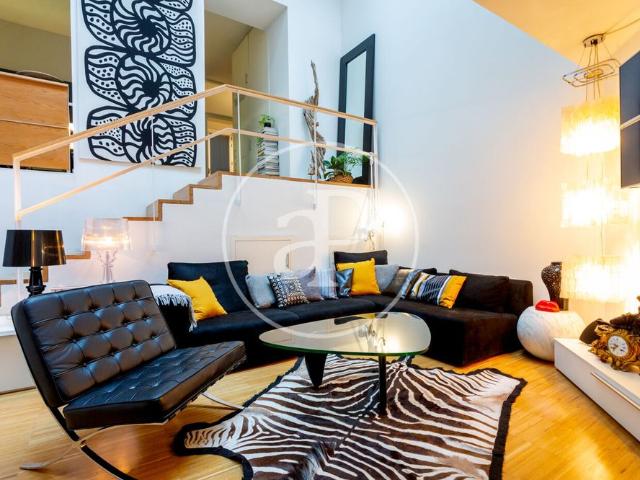Loft for rent in Lavapiés Madrid