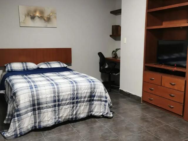 LOFT FRACC. LA ROSA