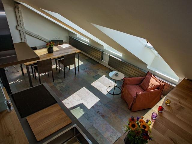 LOFT IN BELLERIVE VD, FURNISHED, TERM