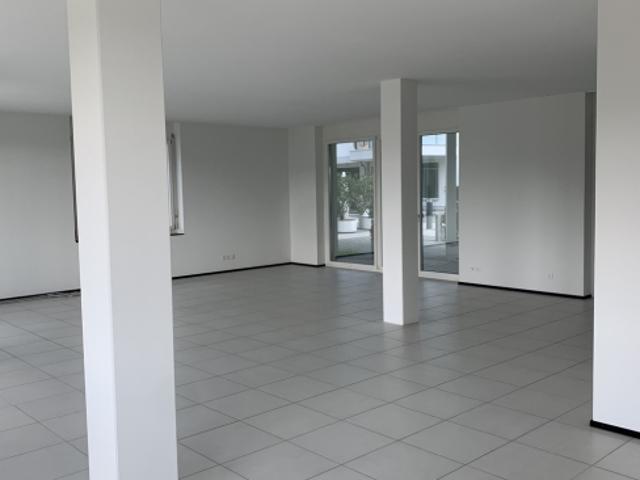 Loft in Gisikon