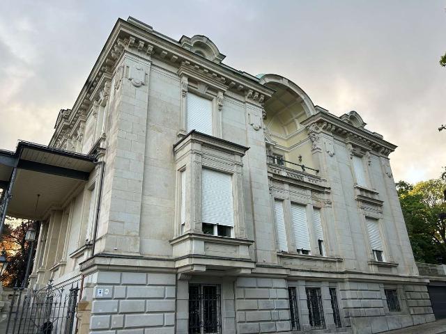 Loft in wertvollster Villa Reichenbachs letzte ausbaufähige Einheit