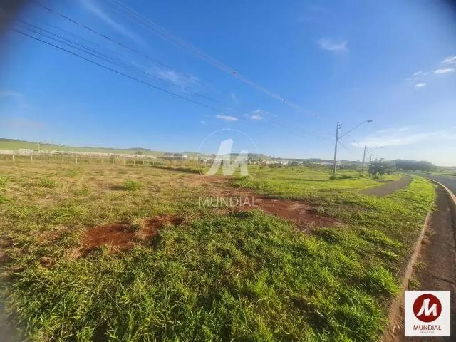 Loft para Venda em Ribeirão Preto/SP Recreio Anhangüera