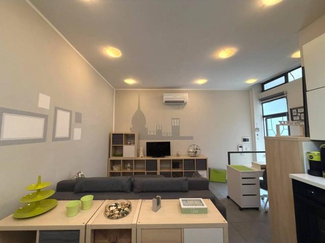 Loft via Luigi Capriolo 29, Cenisia, Torino