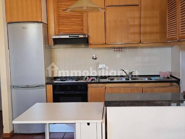Loft via Sergio Chiari 3, Santa Brigida, Pontassieve