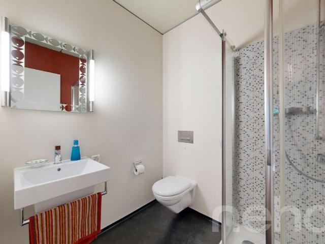Loft with 3 rooms on sale in Richterswil 138 m² | dreamo. Ch