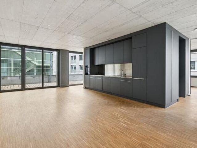 Loft with 1 room for rent in Emmenbrücke 78 m² | dreamo. Ch