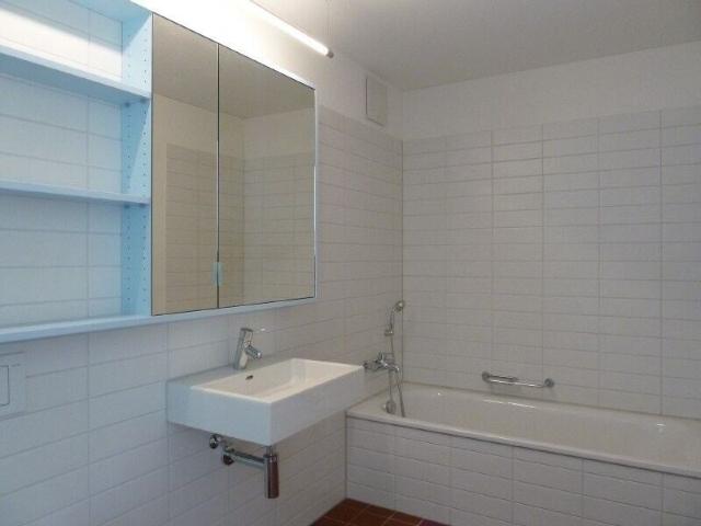 Loft with 4.5 rooms for rent in Winterthur 162 m² | dreamo. Ch