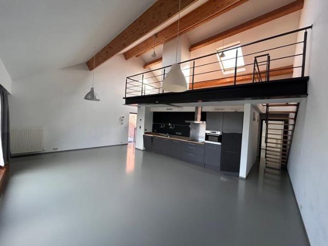 LOFT 2 of3 slaapkamer appartement met dakterras