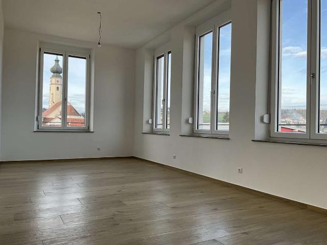 Loft 2 Zimmer Whg. 2. OG mit Balkon, Carport und Wallbox in Triftern
