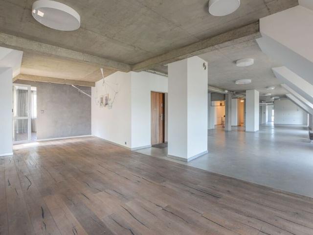 Loft 308 m² z widokiem na Odrę