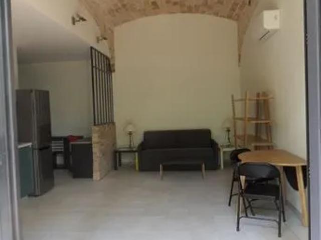 Loft 50 m² Meublé avec jardin 150 m² St Clément de rivière