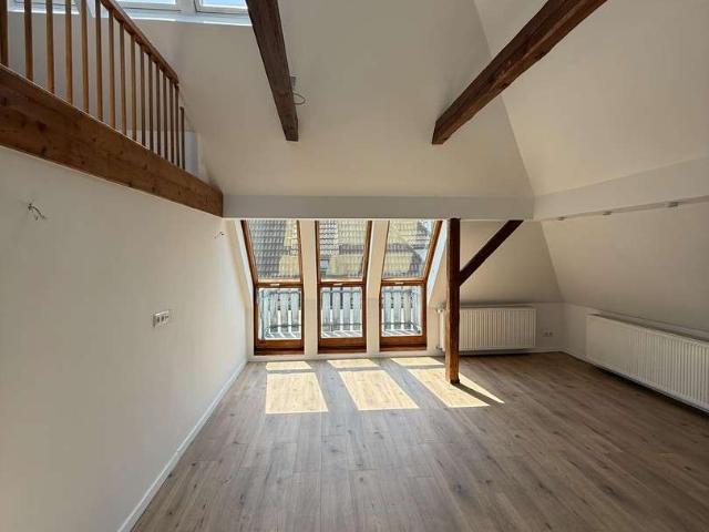 Loft/Galeriewohnung neu saniert wunderschön!